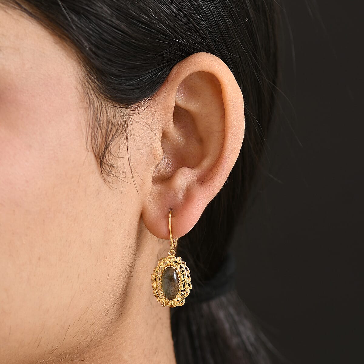 EverTrue Malagasy Labradorite 4.50 ctw Tropical Forest Earrings in 18K YG Plated image number 2