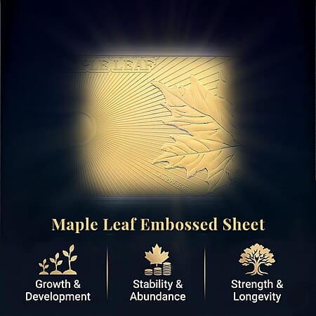 Default Title - Product card gallery slide 3 (10178332623161)