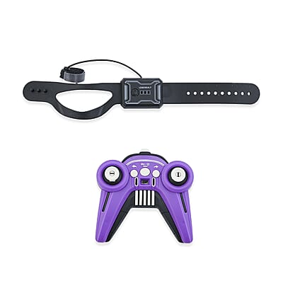 Closeout Purple Racing Car