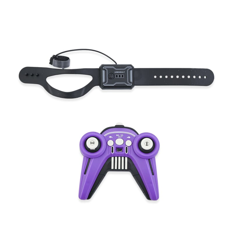 Closeout Purple Racing Car