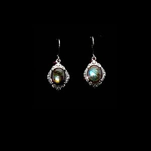 EverTrue Malagasy Labradorite 10.85 ctw Earrings in Stainless Steel