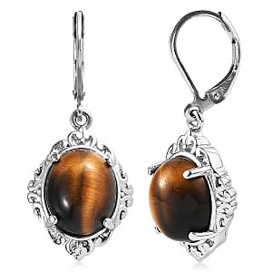EverTrue Tigers Eye 10.75 ctw Earrings in Stainless Steel