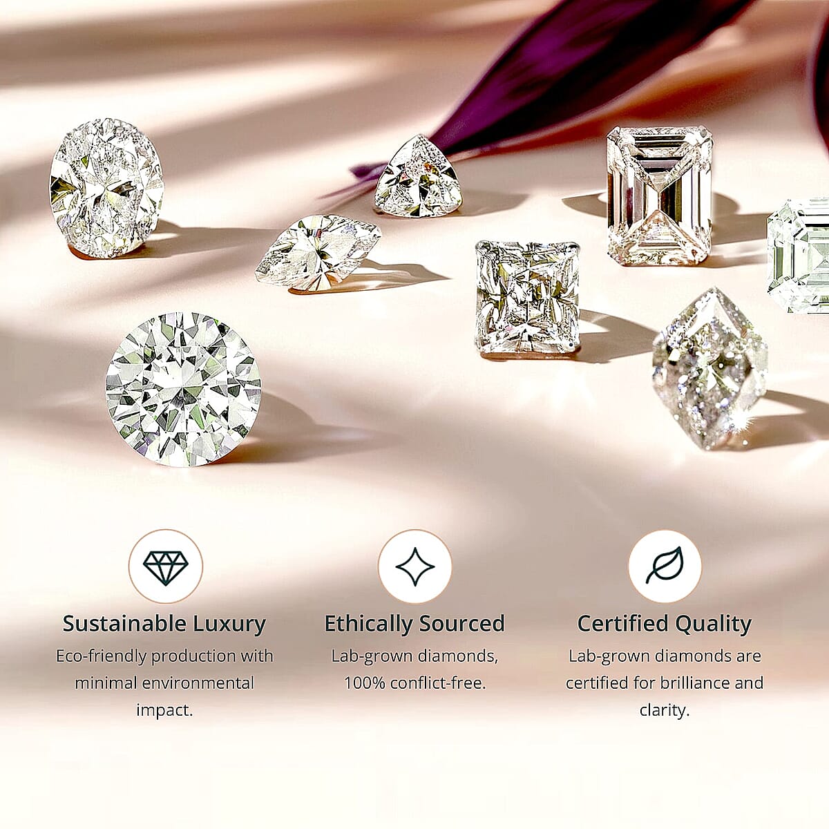 Certified & Appraised AAA Martha Rocha Kunzite, Luxuriant Lab Grown Diamond E-F VS 15.00 ctw Ring in 10K Rose Gold (Size 7.0) 5.33 Grams image number 7