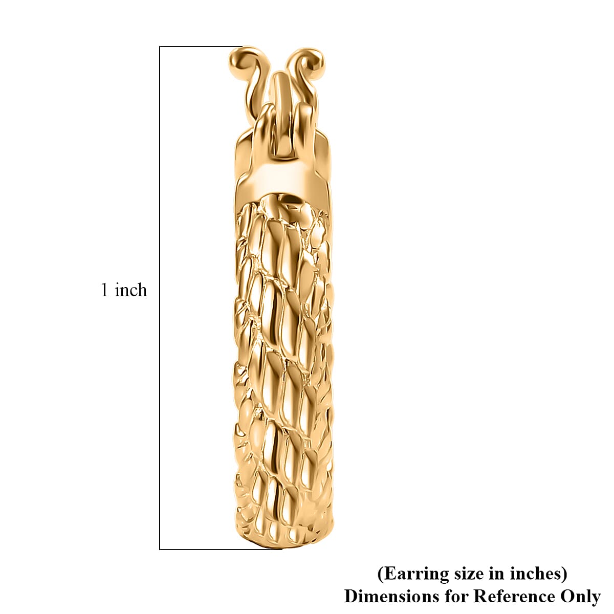 EverTrue Bronzella Collection Hoop Earring in 18K YG Plated Bronze image number 4