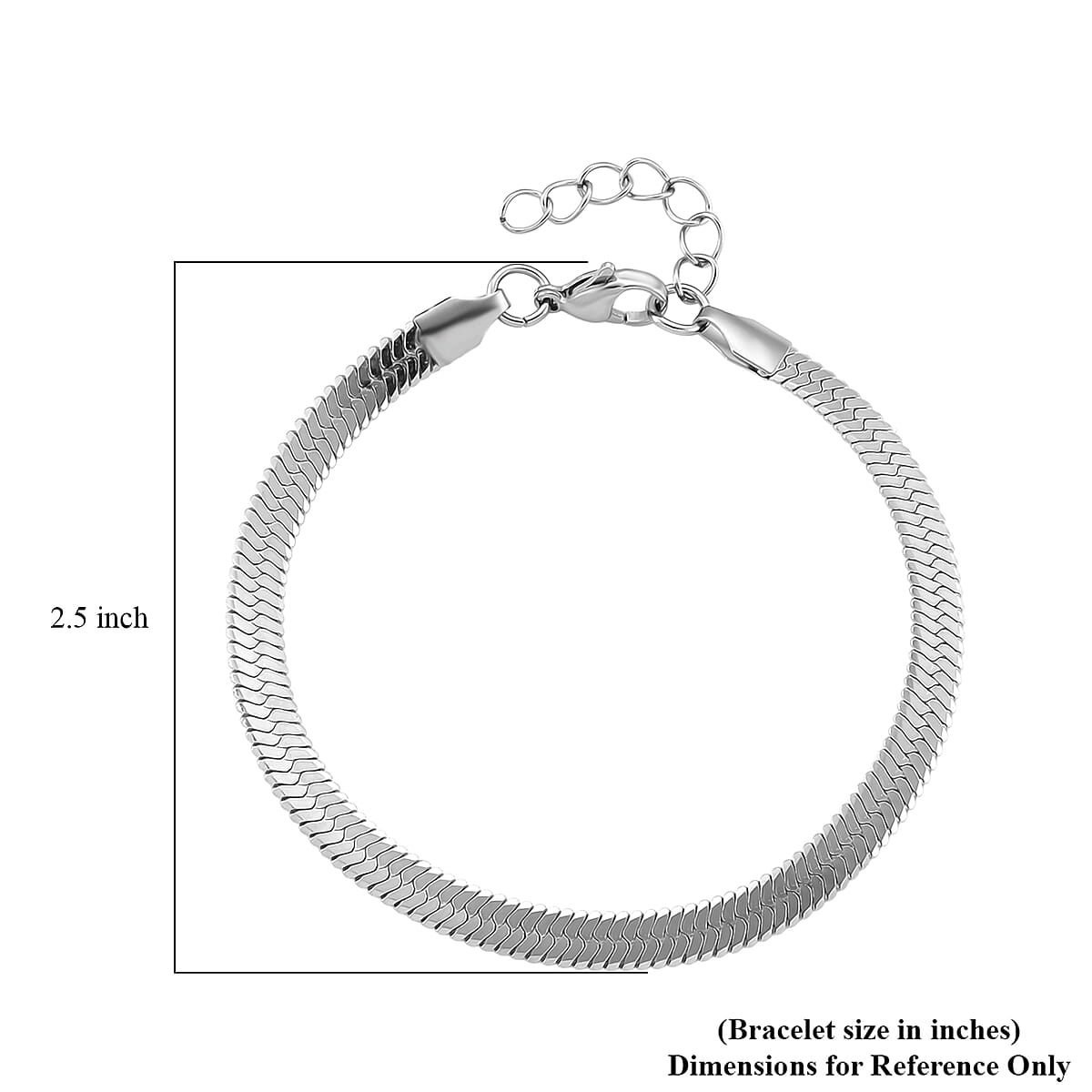 Snake Chain Bracelet in Stainless Steel (7.0-8.0In) image number 5