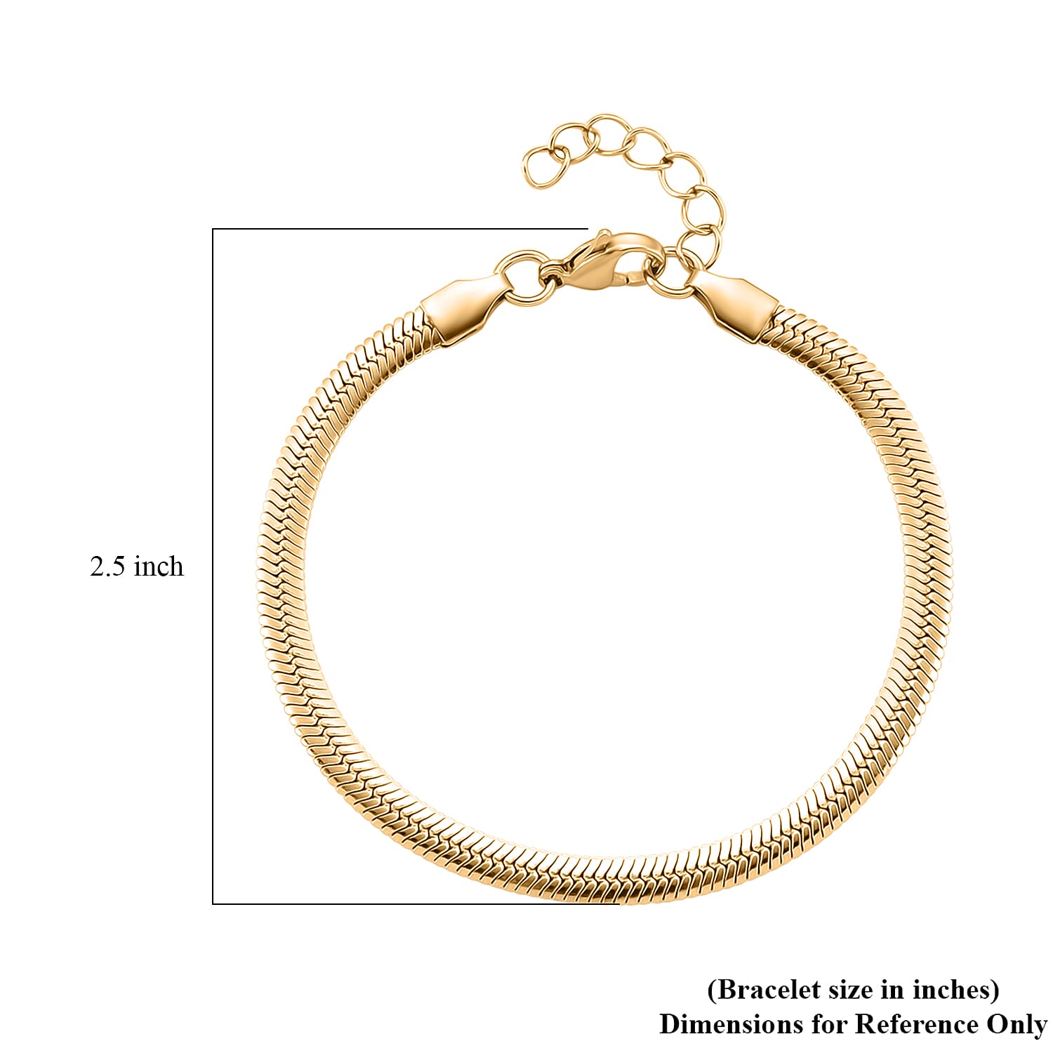 Snake Chain Bracelet in ION Plated YG Stainless Steel (7.0-8.0In)