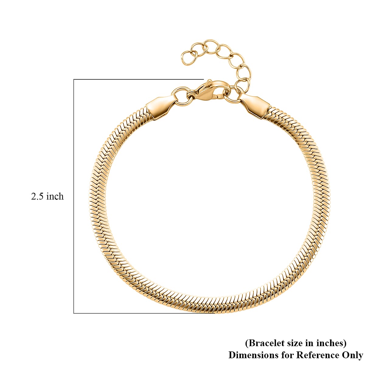 Snake Chain Bracelet in ION Plated YG Stainless Steel (7.0-8.0In) image number 5