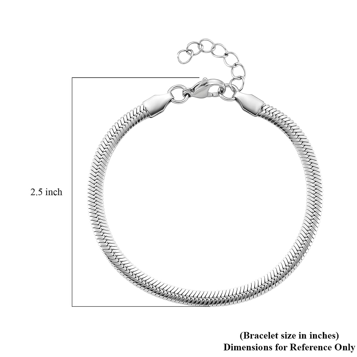Snake Chain Bracelet in Stainless Steel (7.0-8.0In) image number 5