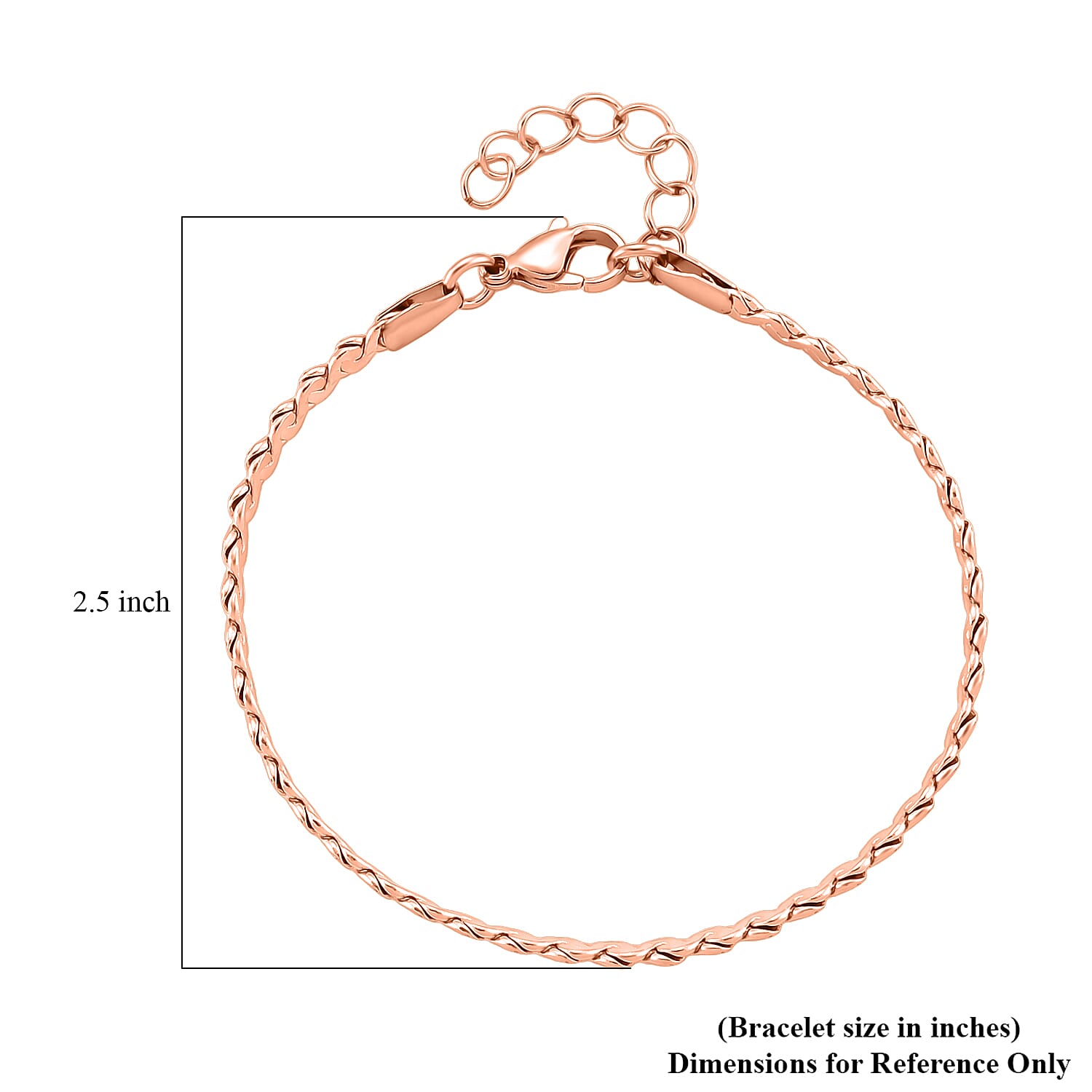 Smooth Curved Twist Chain Bracelet in ION Plated RG Stainless Steel (7.0-8.0In)