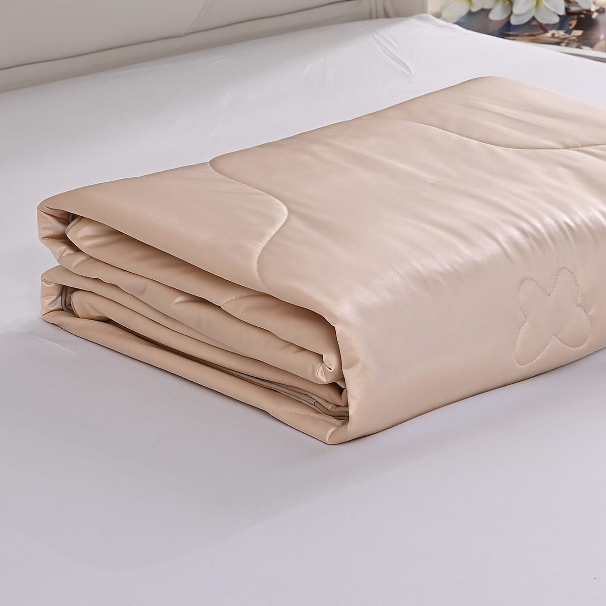 Livmore Beige Nylon and Spandex Silk Quilt image number 6