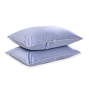 Livmore Set of 2 Blue Nylon and Spandex Cooling Pillowcase