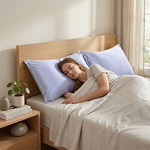 Livmore Set of 2 Blue Nylon and Spandex Cooling Pillowcase