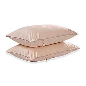 Livmore Set of 2 Beige Nylon and Spandex Cooling Pillowcase