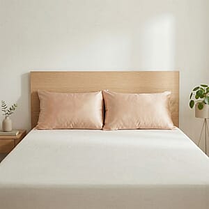 Livmore Set of 2 Beige Nylon and Spandex Cooling Pillowcase