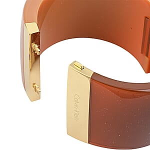 Calvin Klein Closeout ION Plated YG Stainless Steel Vision Bangle Bracelet (6.25 In)