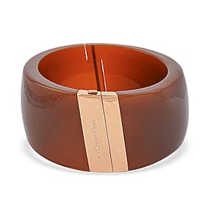 Calvin Klein Closeout ION Plated RG Stainless Steel Vision Bangle Bracelet (7.00 In)