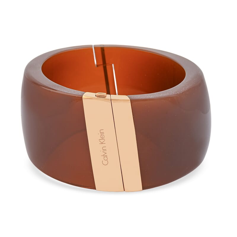 Calvin Klein Closeout ION Plated RG Stainless Steel Vision Bangle Bracelet (6.25 In)