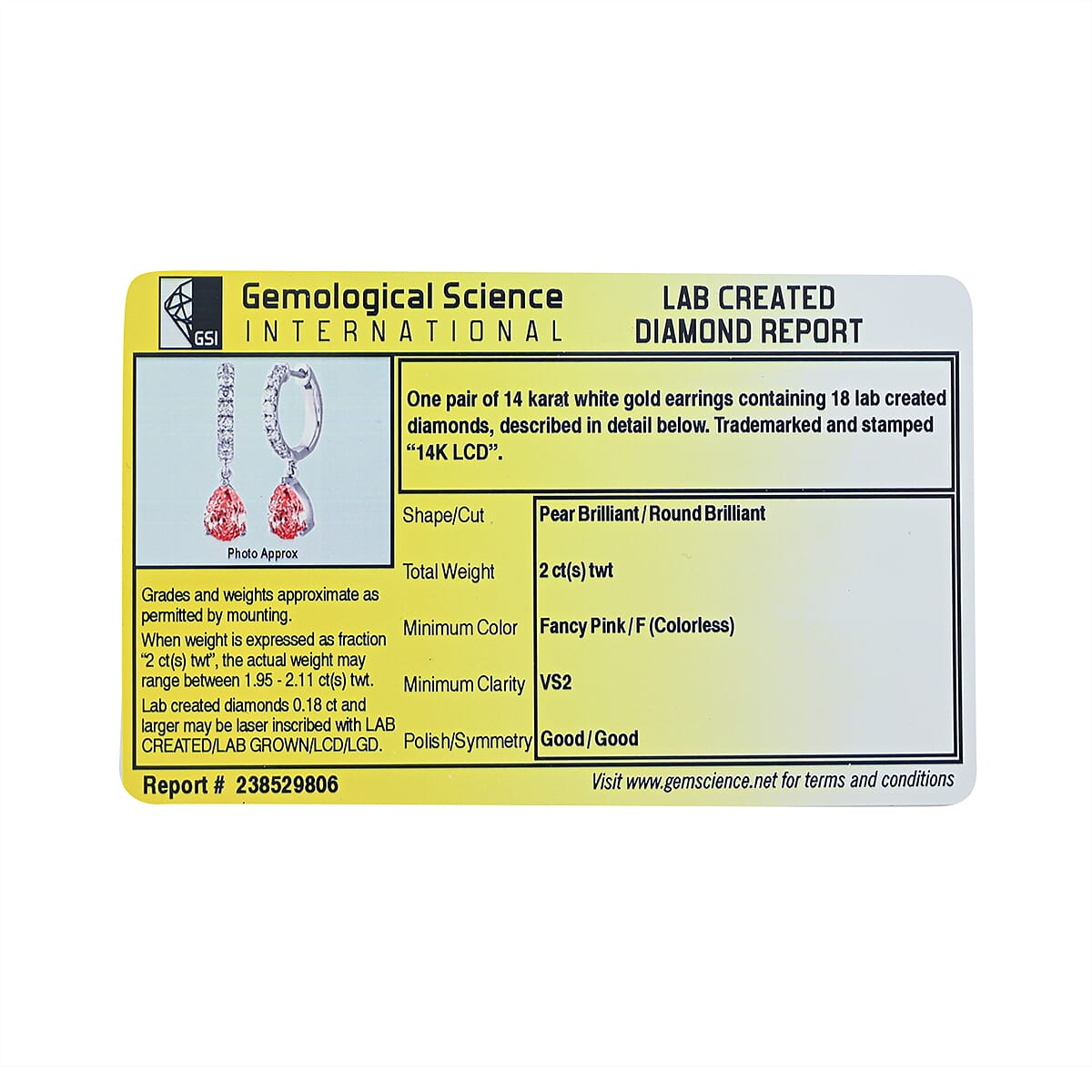 Luxuriant Lab Grown Pink Diamond (IR) and Lab Grown Diamond VS2 2.00 ctw Earrings in 14K White Gold image number 5