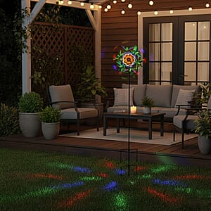 Livmore Iron Hummingbird Spinner Stake