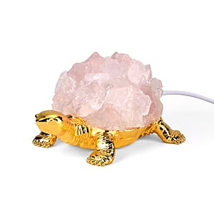 Crystal ornament with light