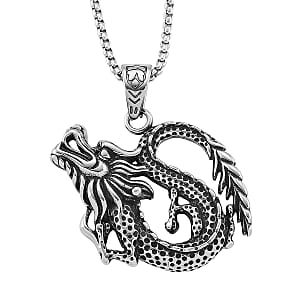 Dragon Pendant Necklace in Stainless Steel 23.5 Inches