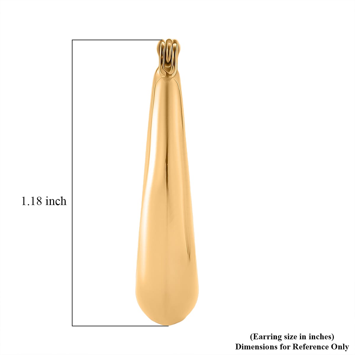 Classic Hoop Earrings in ION Plated YG Stainless Steel