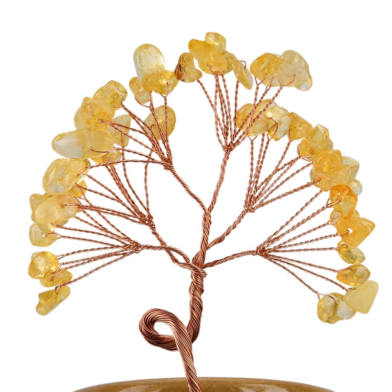 Livmore Citrine Tree with Ceramic Base