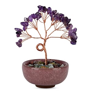 Livmore Amethyst Tree with Ceramic Base