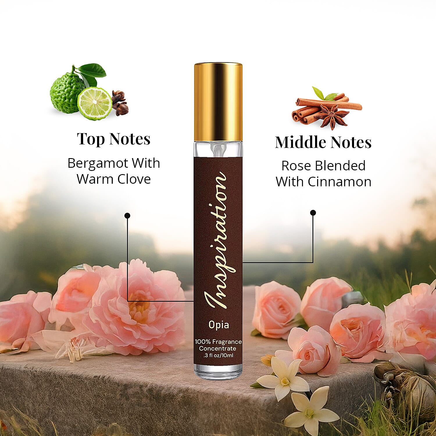 Default Title - Product card gallery slide 4 (10146509586715)