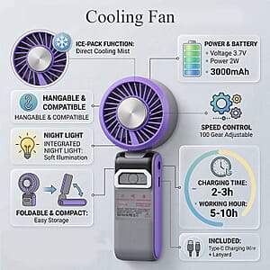 Livmore Gray Cooling Fan with LED Light