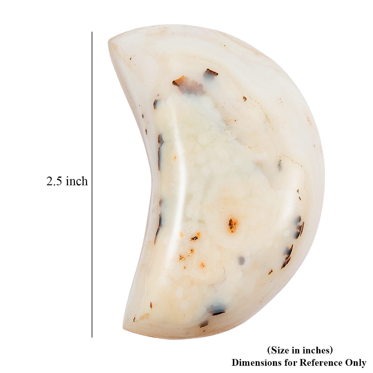 Agate Moon Shape - Small 594ctw