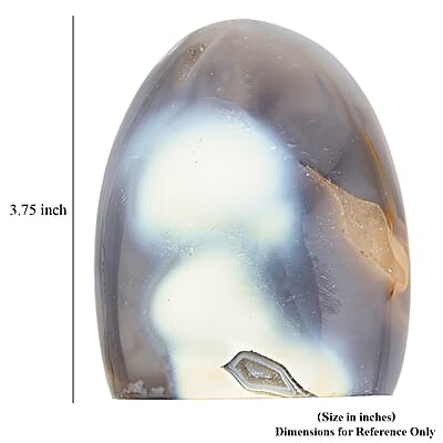 Multi Color Agate Freeform - Small 1048ctw