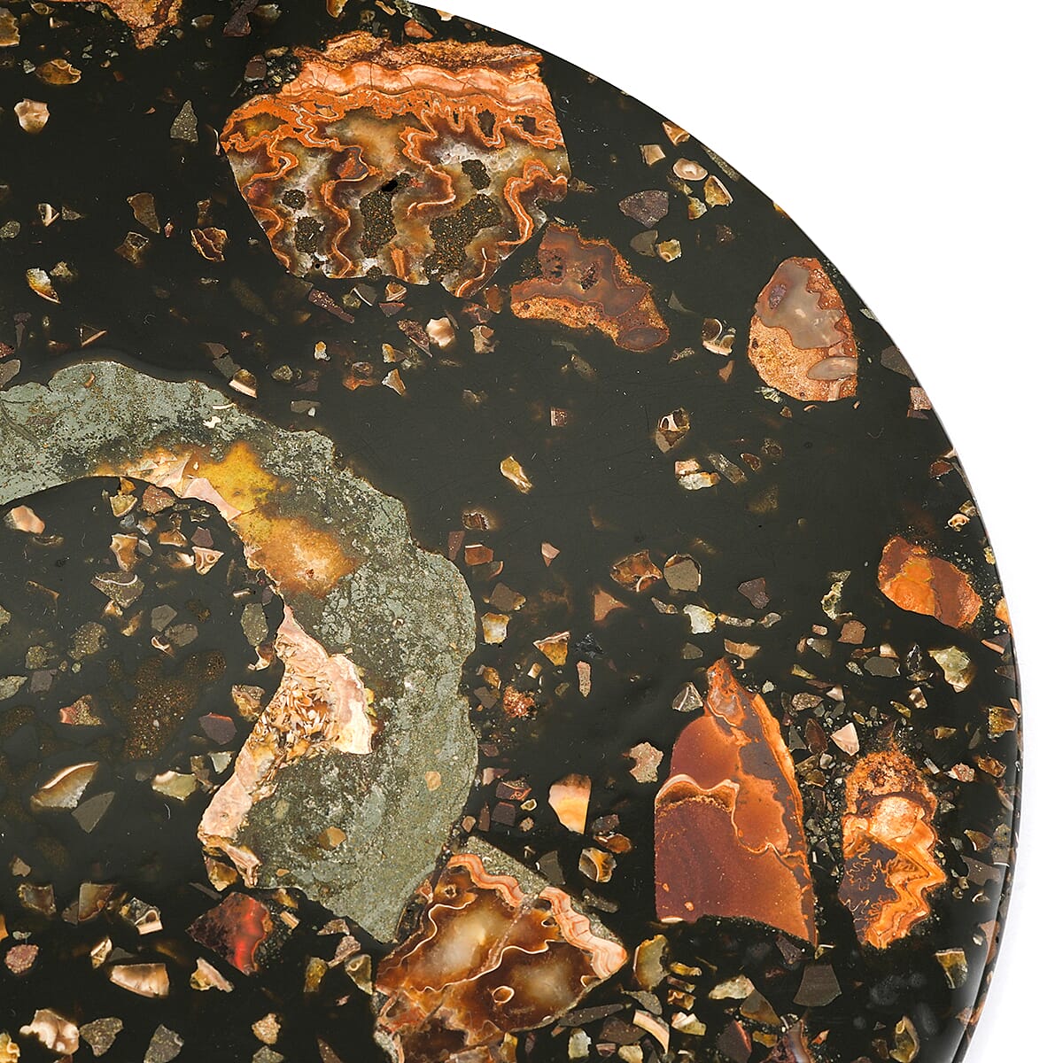 Ammonite Plate 8 Inch To 9 Inch 4082ctw