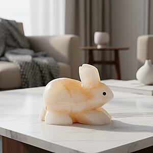 Aragonite Rabbit Shape -Small 492ctw