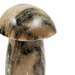 Calcite Brown Mushroom -Small 3640ctw