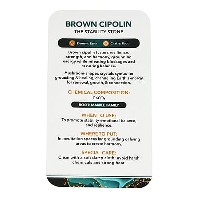 Calcite Brown Mushroom -Small 3640ctw