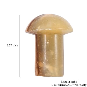 Cipolin Brown Mushroom -Small 465ctw