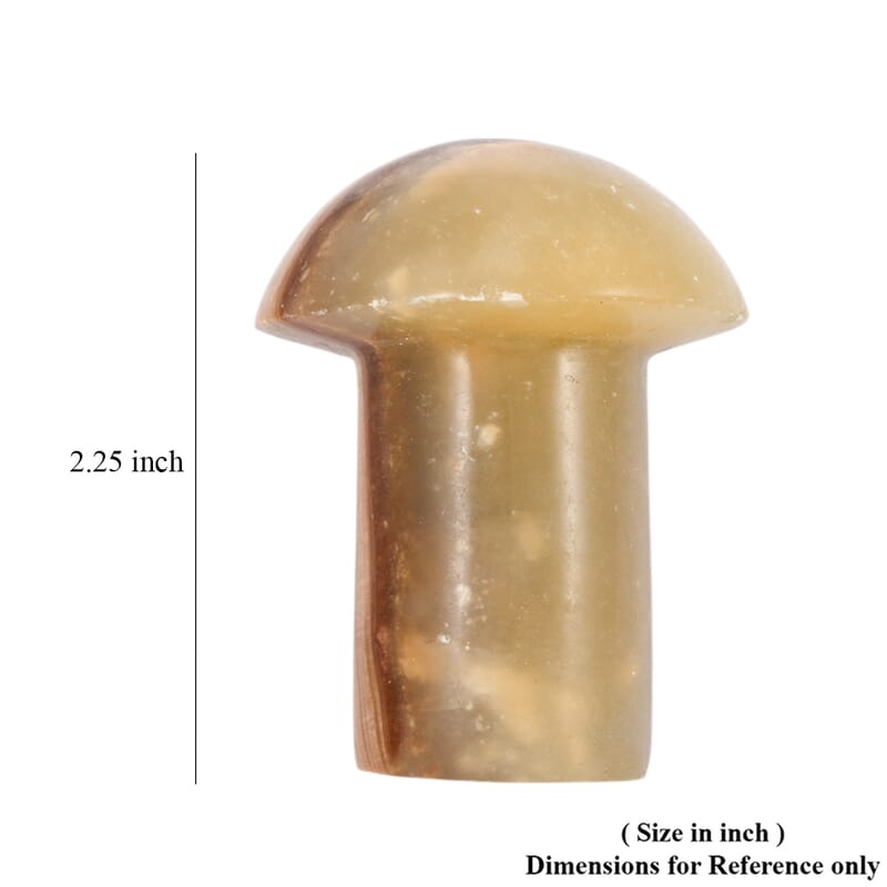Cipolin Brown Mushroom -Small 465ctw