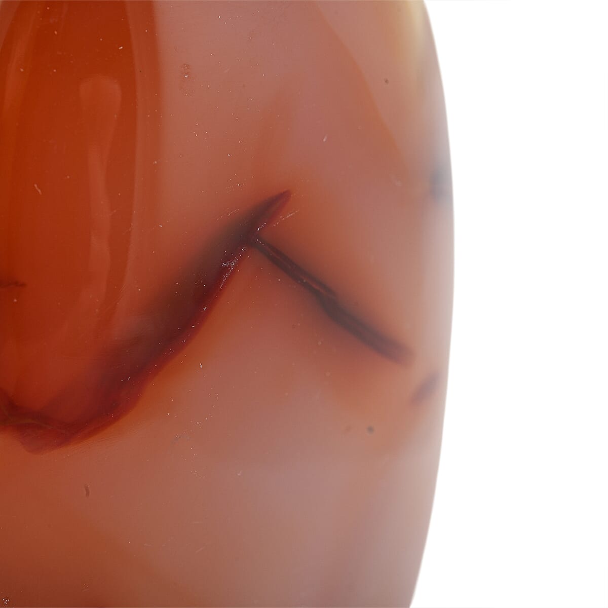 Cornaline Freeform -Medium 1862ctw image number 5