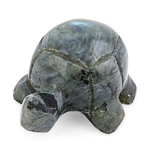 Labradorite Tortoise Shape -Small 477ctw