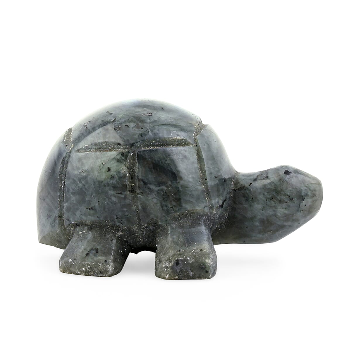 Labradorite Tortoise Shape -Small 477ctw image number 3