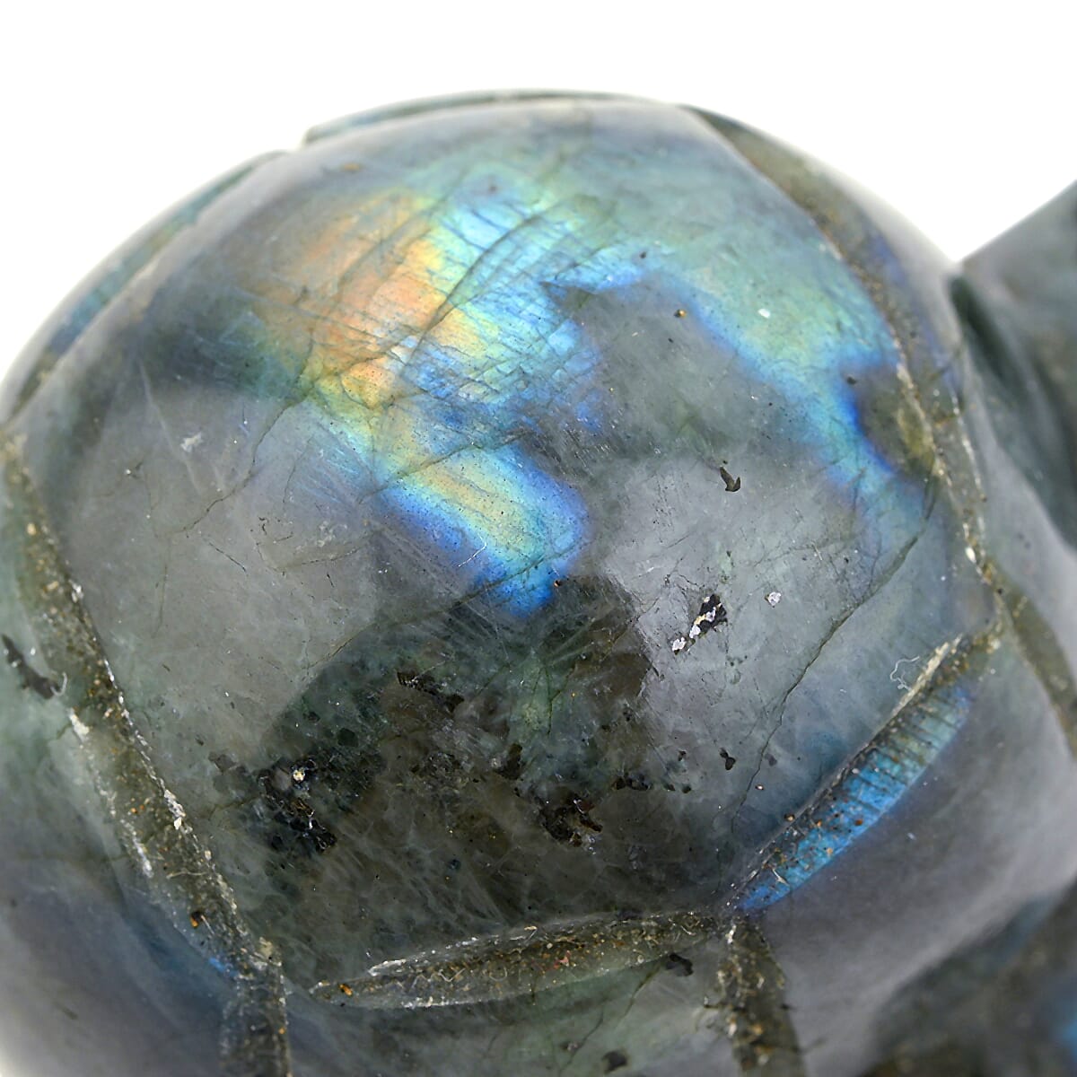 Labradorite Tortoise Shape -Small 477ctw image number 6