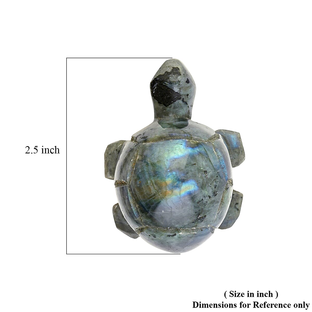 Labradorite Tortoise Shape -Small 477ctw image number 7
