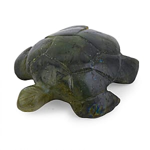 Labradorite Turtle Shape -Medium 576ctw