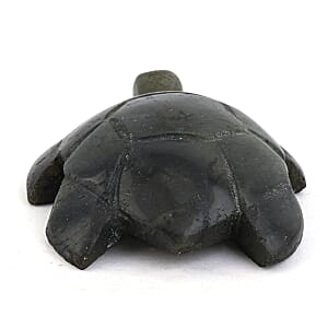 Labradorite Turtle Shape -Medium 576ctw