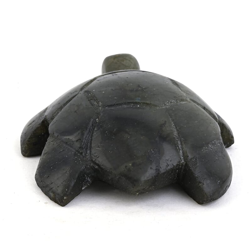 Labradorite Turtle Shape -Medium 576ctw