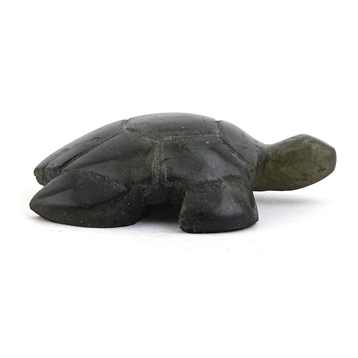 Labradorite Turtle Shape -Medium 576ctw image number 4