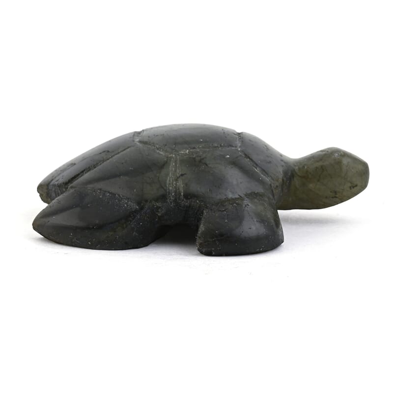 Labradorite Turtle Shape -Medium 576ctw