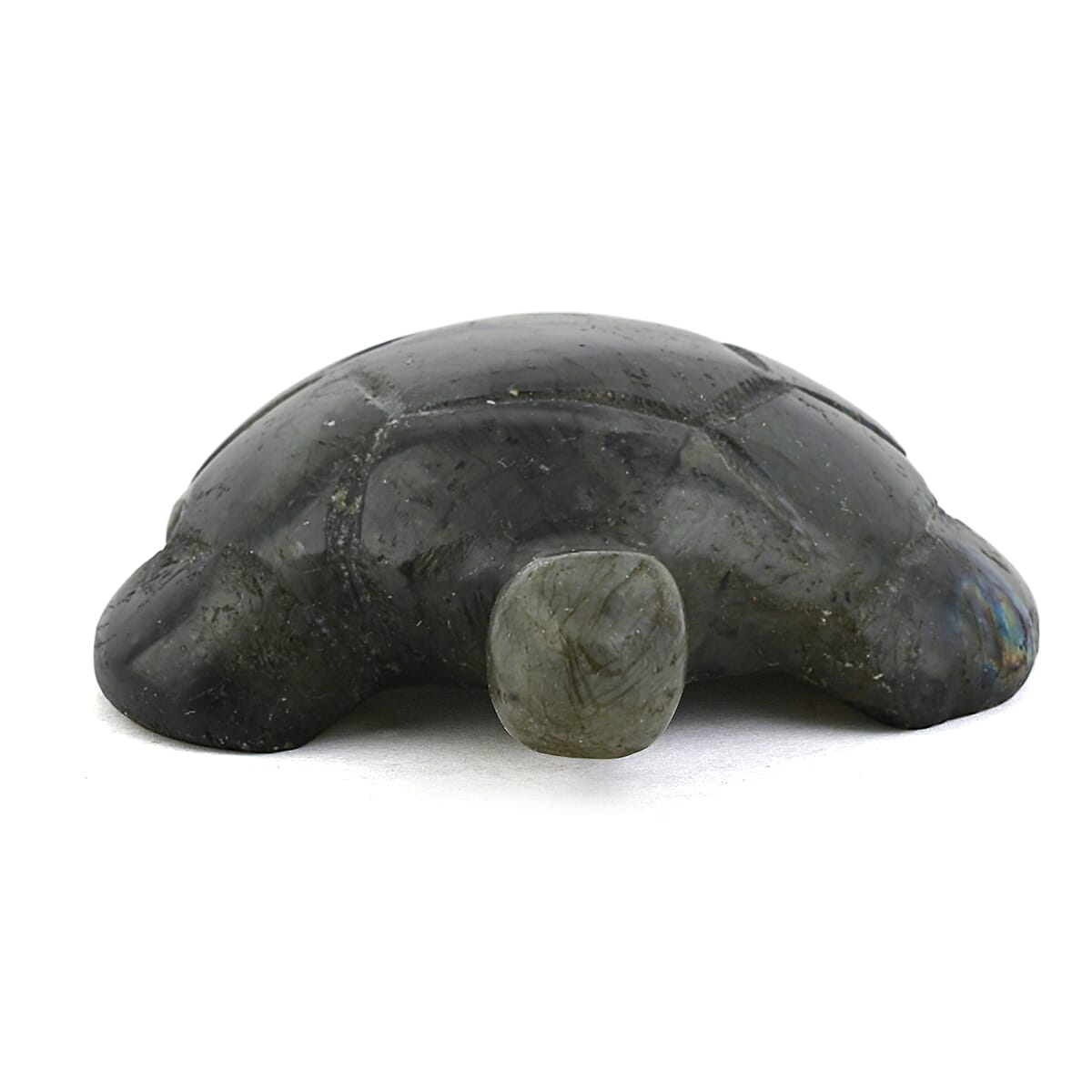 Labradorite Turtle Shape -Medium 576ctw image number 5