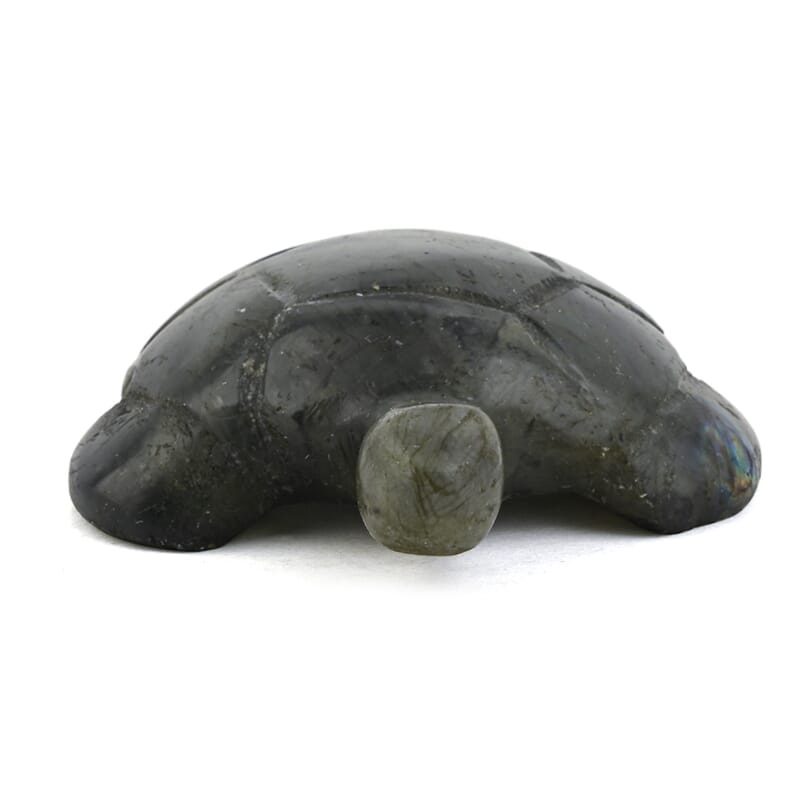 Labradorite Turtle Shape -Medium 576ctw